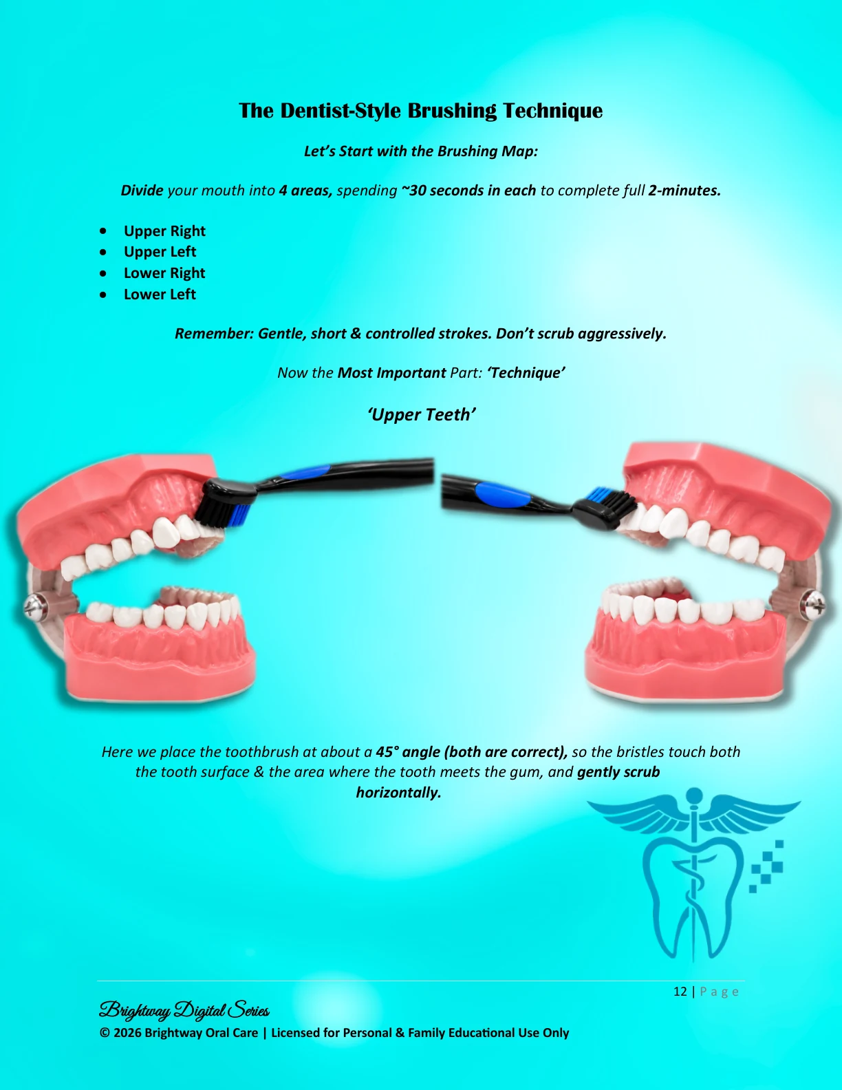 Dentist-style brushing technique preview