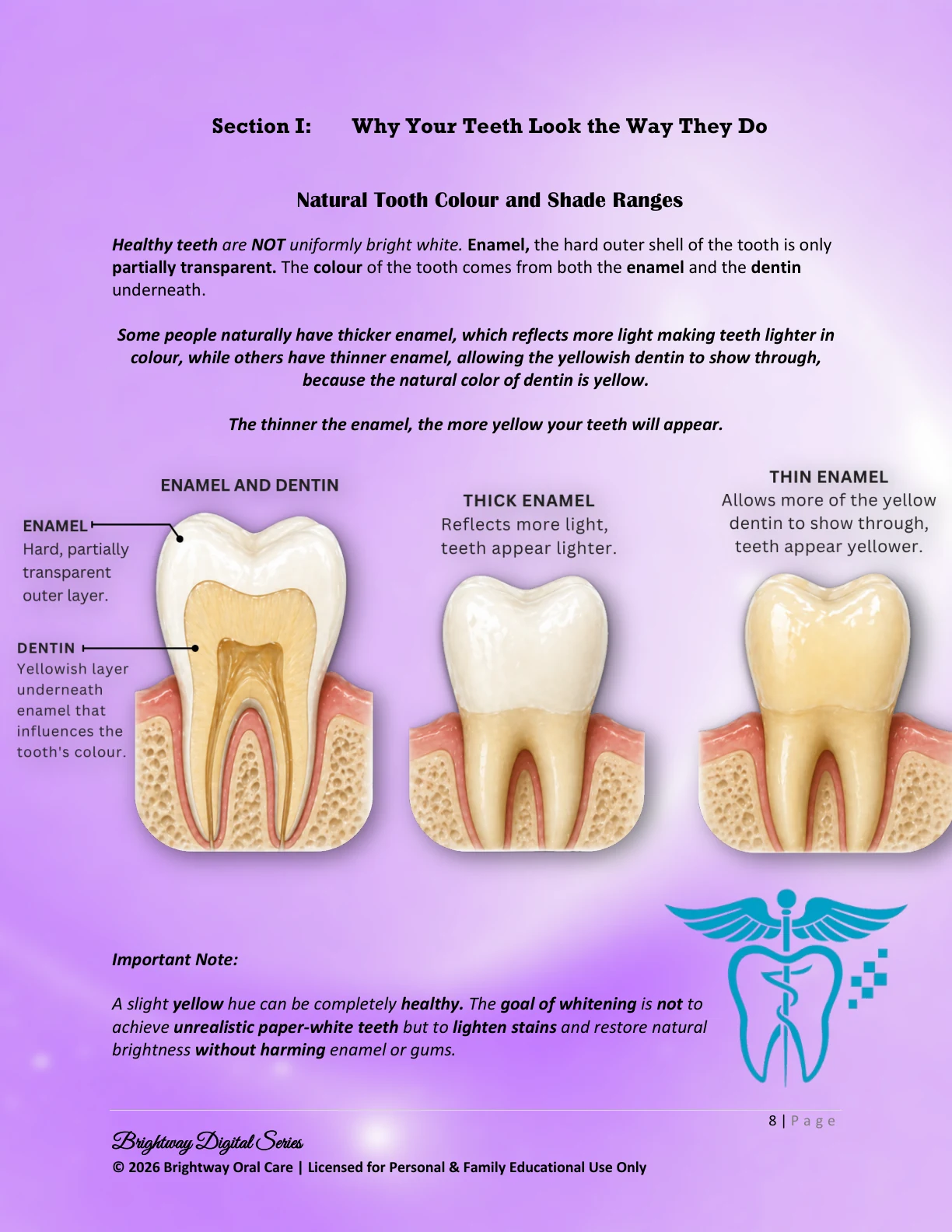Natural tooth colour and enamel explanation preview